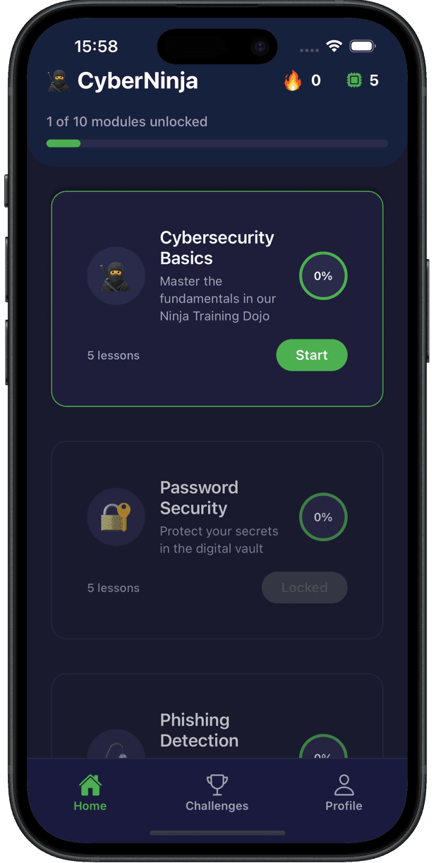 CyberNinja App Interface